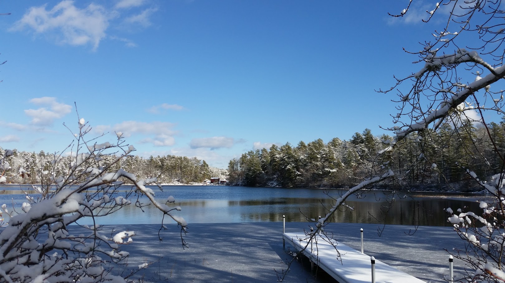 The frozen pond under a blue sky in Plymouth, Massachusetts