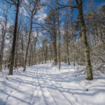 The snowy trail in Plymouth, Massachusetts