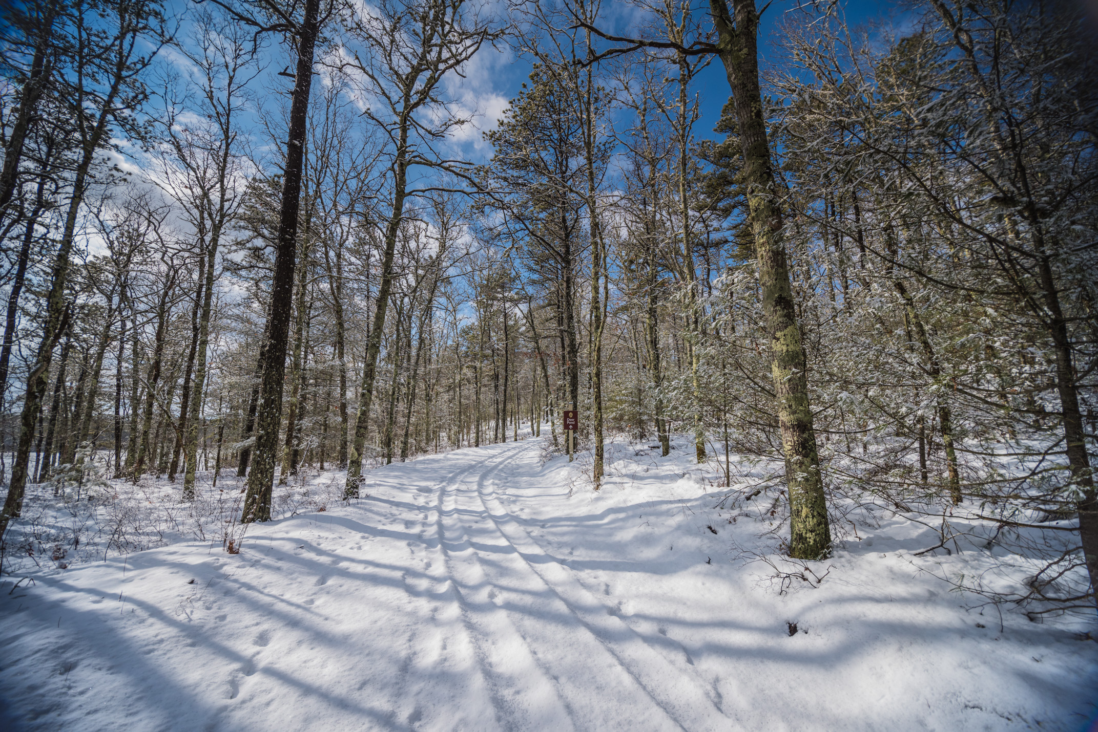 The snowy trail in Plymouth, Massachusetts