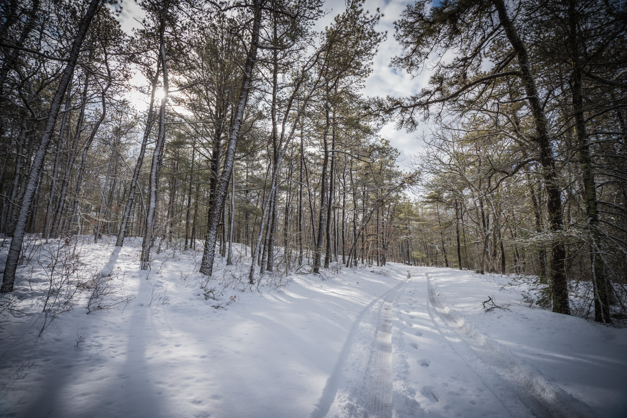 A winter trail carves through the park in Plymouth, Massachusetts.